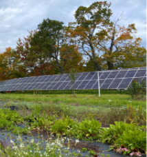 On farm solar array