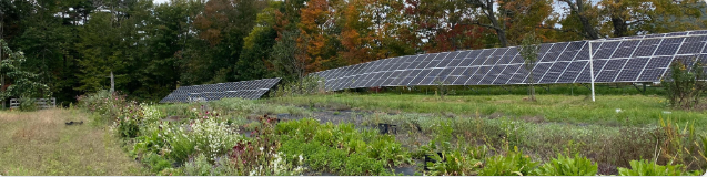 farm solar field