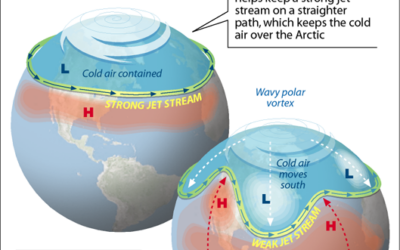Wild Swings In Winter Weather!